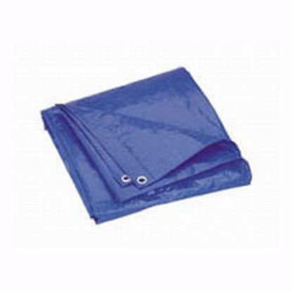 Picture of 12 X 24 Tarpaulin Blue