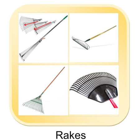 Picture for category Rakes