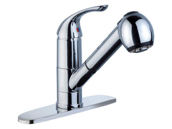 Picture of F8106BN, Brushed Nickel Pull Out Kitchen Faucet