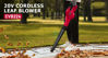 Picture of 20Volt Cordless Leaf Blower