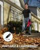 Picture of 20Volt Cordless Leaf Blower