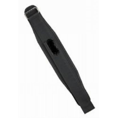 Picture of 4" Nylon Support Belt