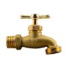 Picture of Brass Bibb 1/2" NPT 3/4"GHT